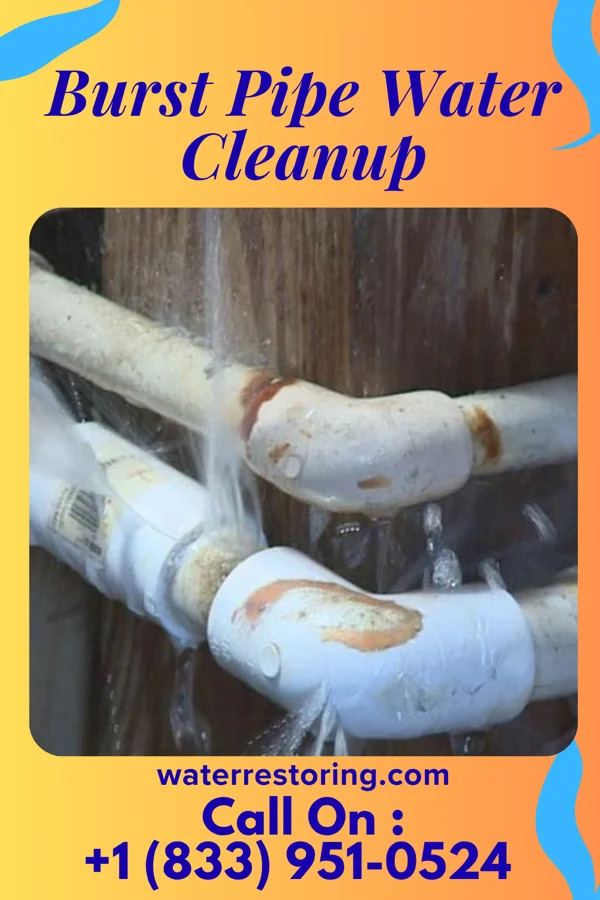 Burst Pipe Water Cleanup in Heidelberg, PA
