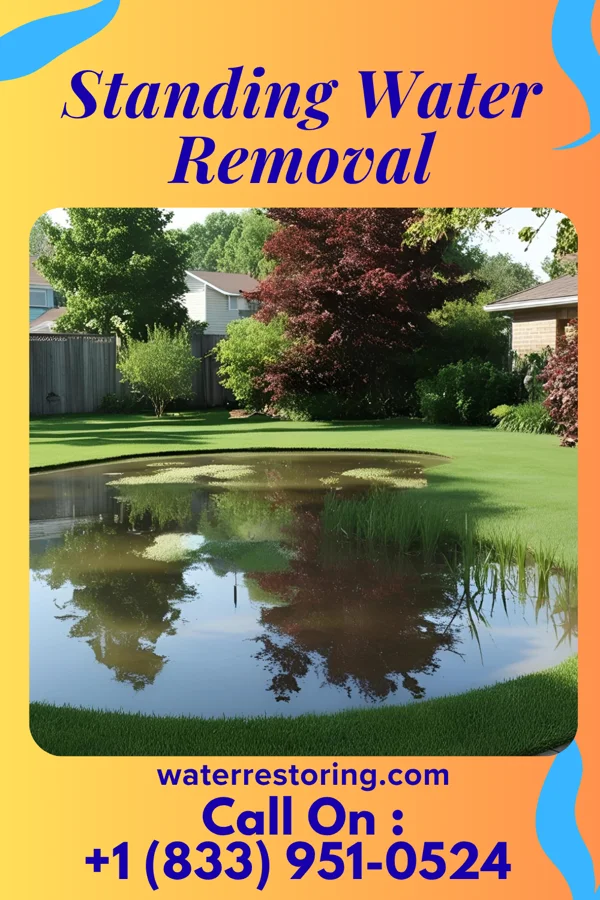 Standing Water Removal in Heidelberg, PA